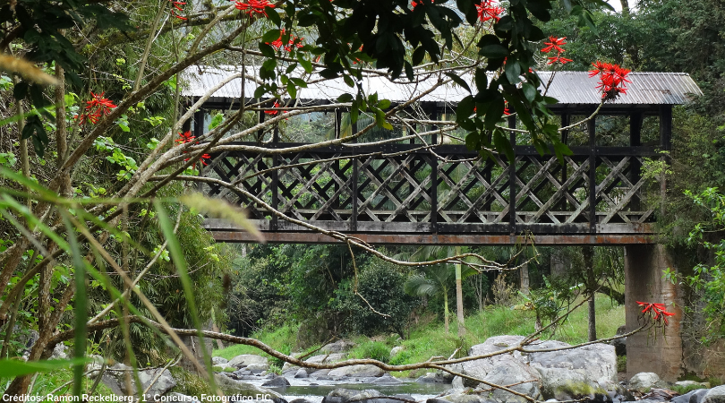 Ponte de Madeira Coberta do Encano